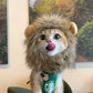 Aiitle Funny Cat Cosplay Lion Mane Wig