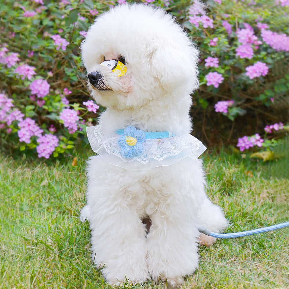 Aiitle Floral Lace Princess Dog Harness Leash Set