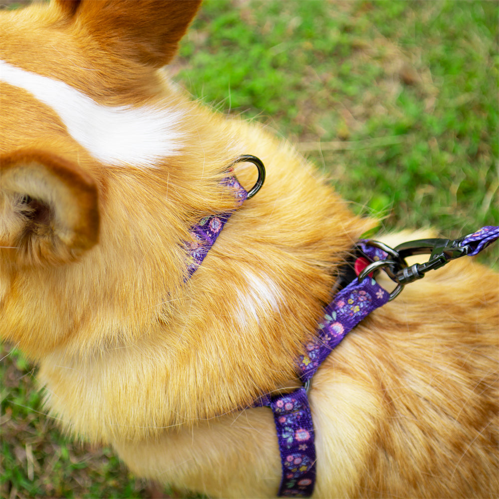 Aiitle New Adjustable Step in Dog Harness Leash Set Purple Flower