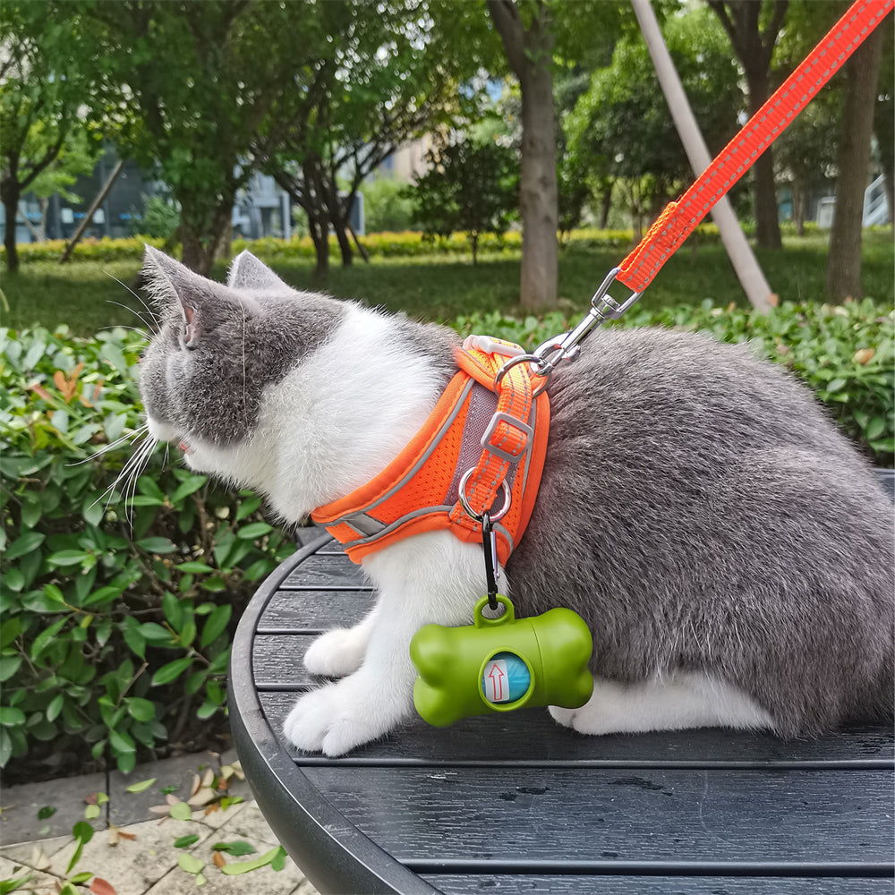 Aiitle Clearance Sale🔥- Step in Cat Dog Harness Leash Set