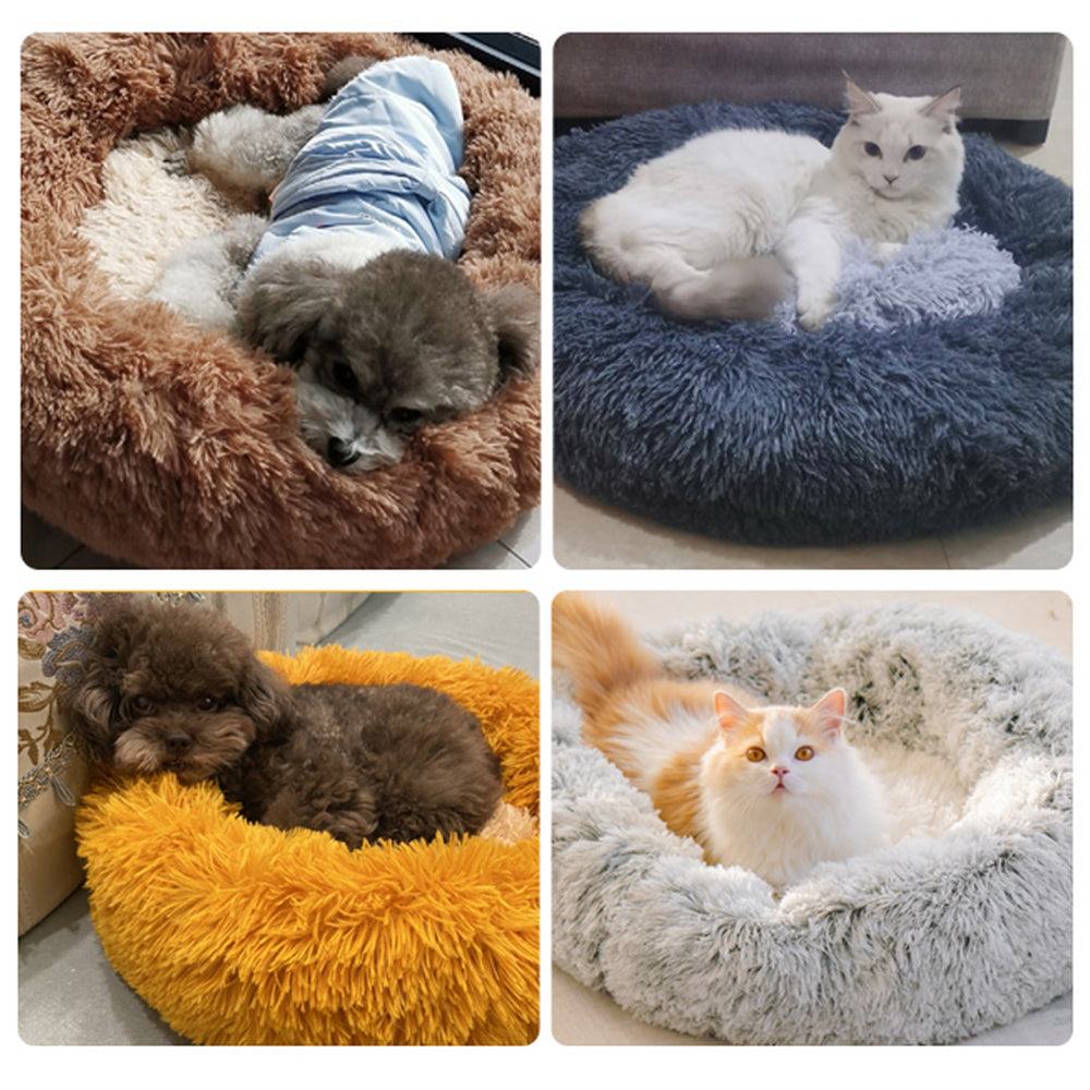 Fuzzy cat outlet bed