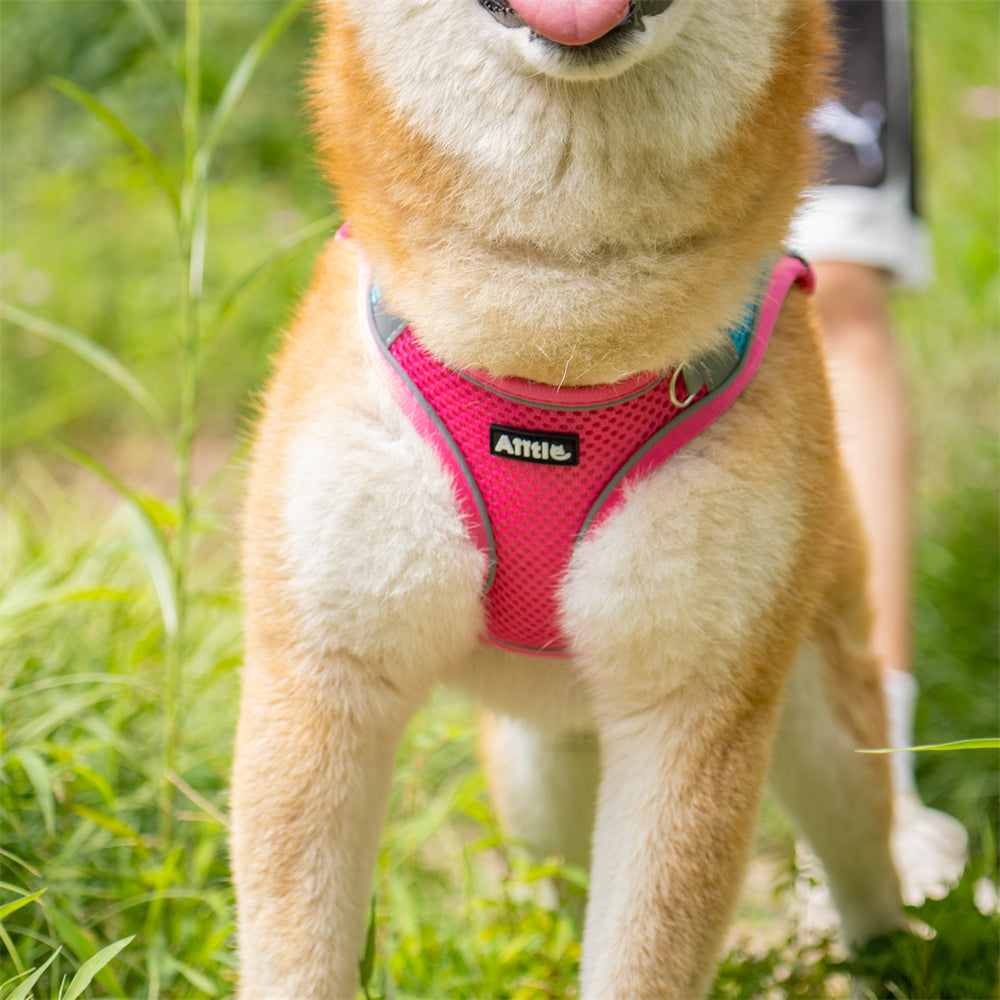 Pink mesh dog outlet harness