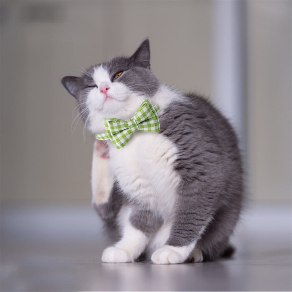 Aiitle Cute Plaid Bow Tie Green Cat Collar
