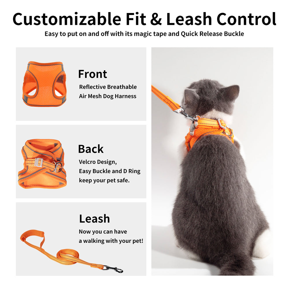 Petsafe cat harness outlet how to put on