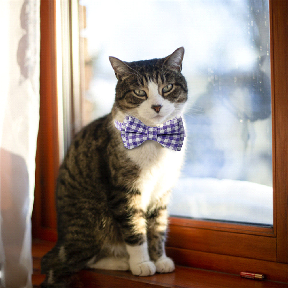 Aiitle Cute Plaid Bow Tie Purple Cat Collar
