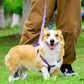 Aiitle New Adjustable Step in Dog Harness Leash Set Purple Flower