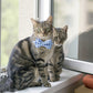 Aiitle Cute Plaid Bow Tie Blue Cat Collar
