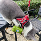 Aiitle Clearance Sale🔥- Step in Cat Dog Harness Leash Set