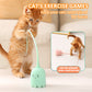 Aiitle Automatic Tail Teaser Interactive Cat Toys