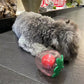 Aiitle Dog Squeaky Strawberry Chew Toy