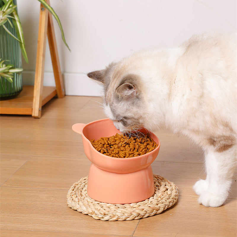 Aiitle Ergonomic Tilted Cat Bowl