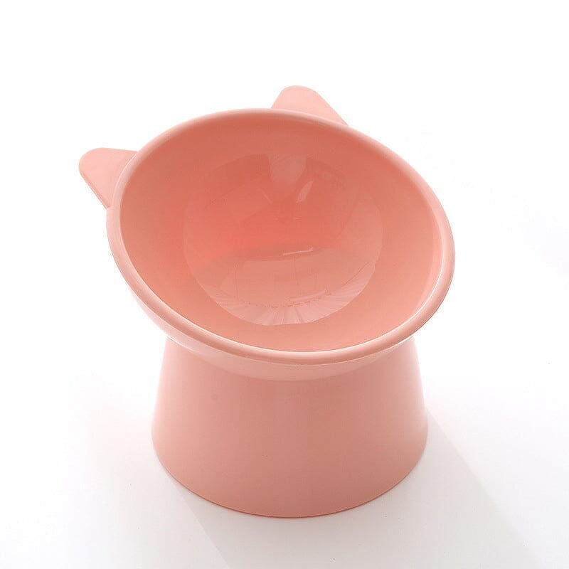 Aiitle Ergonomic Tilted Cat Bowl