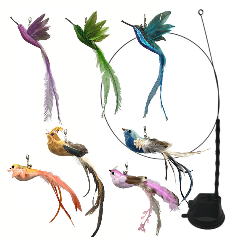 Aiitle Hummingbird Cat Toy Teaser Set for Indoor Cats