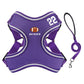 Aiitle Sports Style Breathable Dog Harness