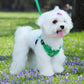 Aiitle Sports Style Breathable Dog Harness