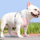Aiitle X Shaped Adjustable Dog Harness Soft Padded