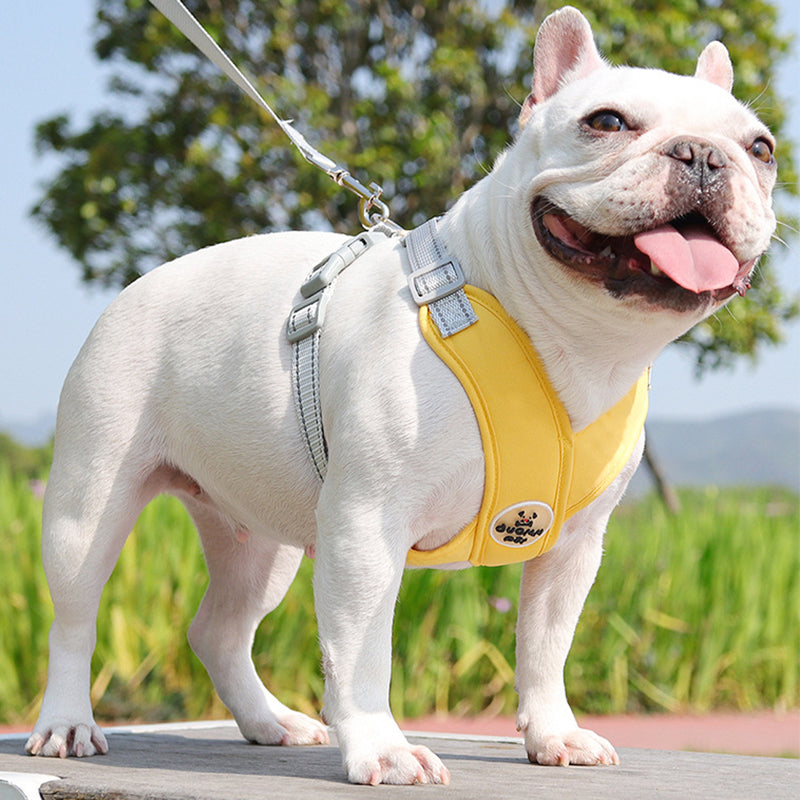 Aiitle X Shaped Adjustable Dog Harness Soft Padded