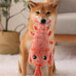 Aiitle Plush Jumping Lobster Cat Toy