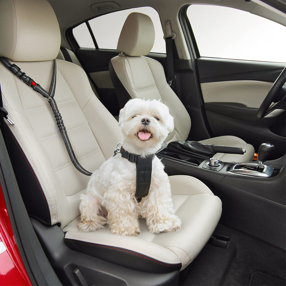 Paw clearance safe seatbelt