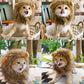 Aiitle Funny Cat Cosplay Lion Mane Wig