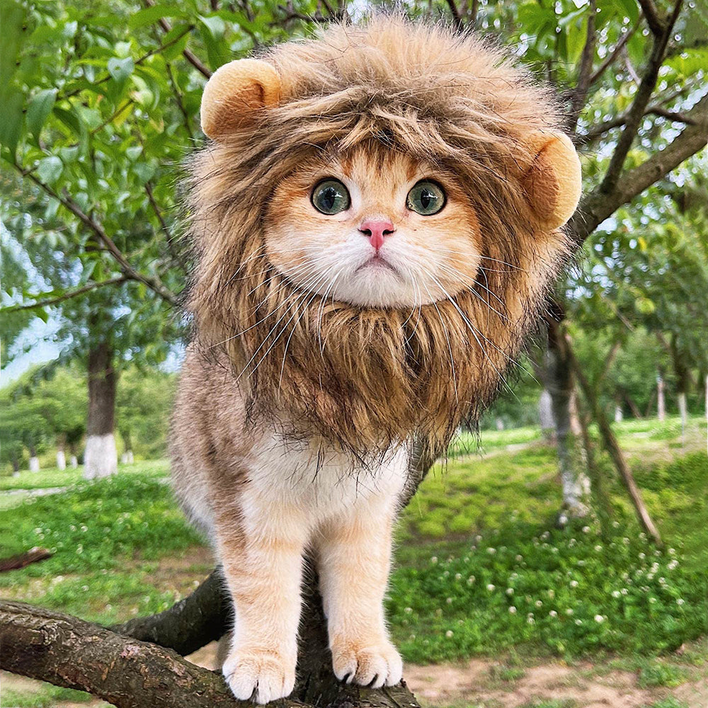 Aiitle Funny Cat Cosplay Lion Mane Wig