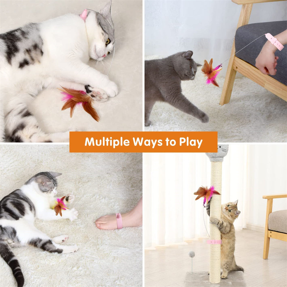 Aiitle Cat Self Interactive Collar Toy