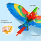 Aiitle Simulation Bird Interactive Cat Toy