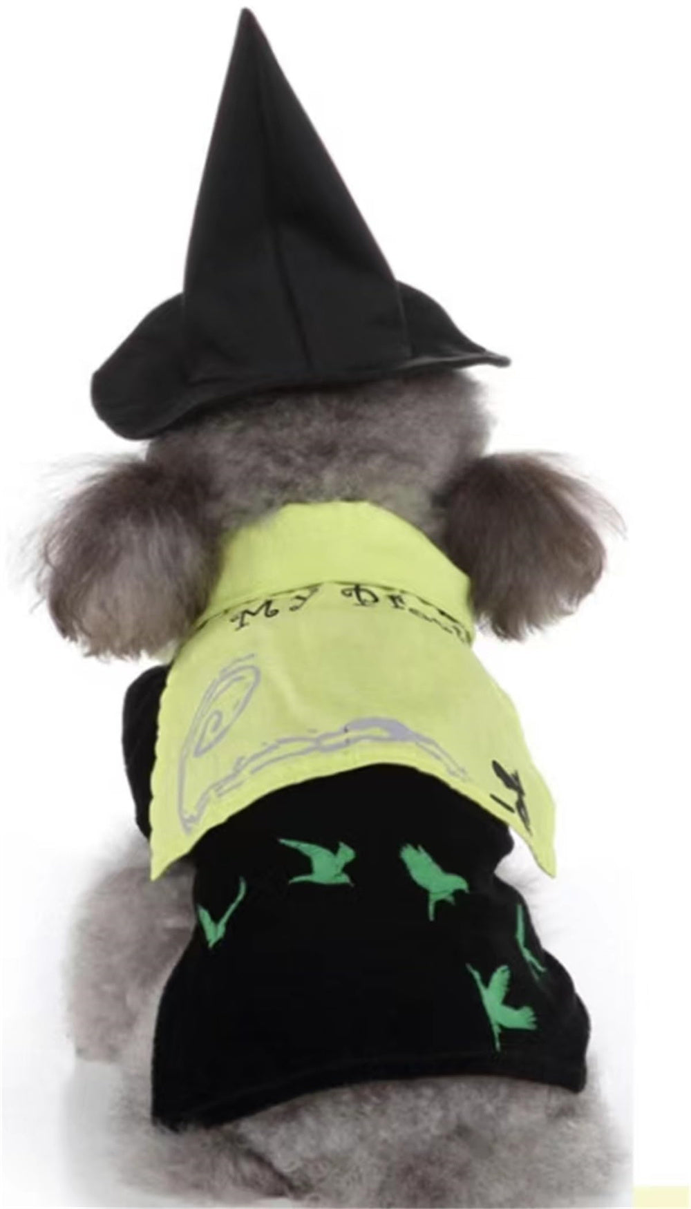 Aiilte Black Green Dog Halloween Witch Wizard Hat Costume Set