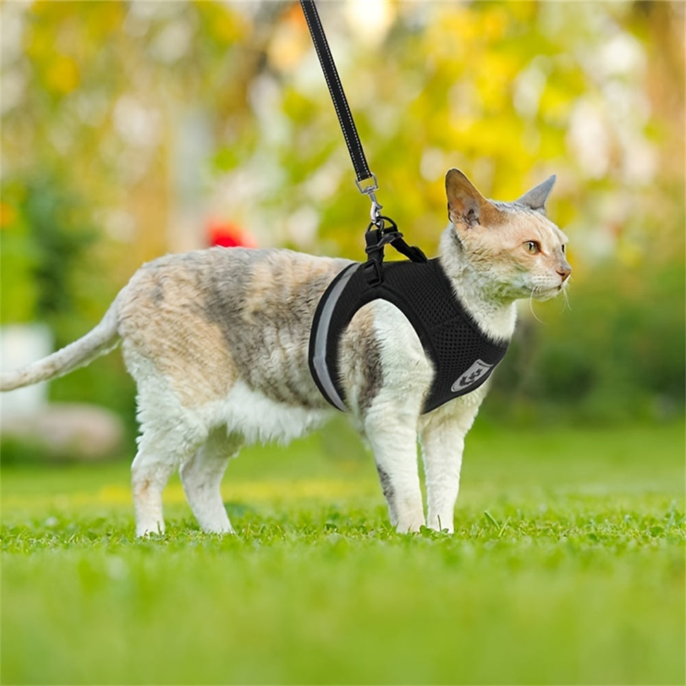 Aiitle Adjust Breathable Pet Harness Leash Set