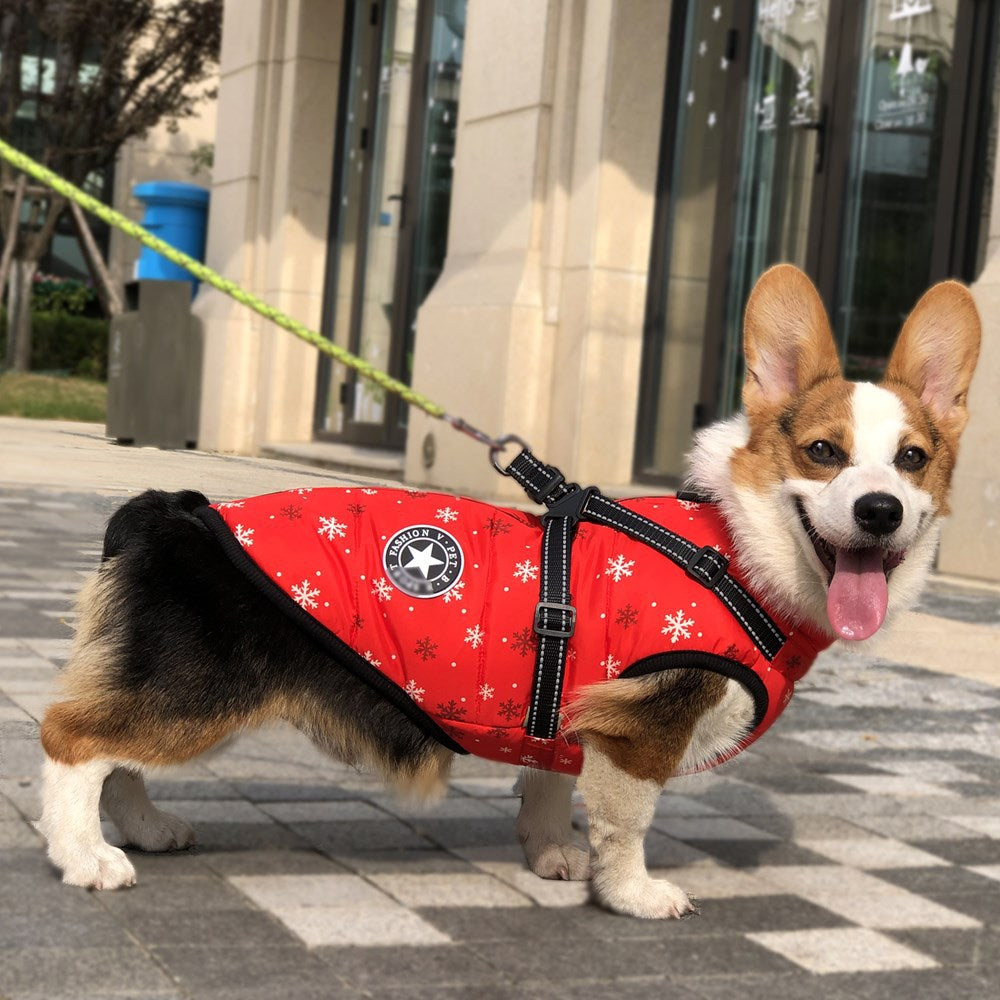 Winter shop dog harness