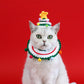 Aiitle Pet Christmas Knit Hat Collar Set