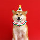 Aiitle Pet Christmas Knit Hat Collar Set