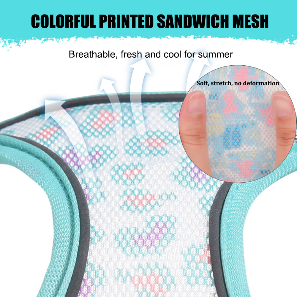 Aiitle Colorful Printed Mesh Dog Harness