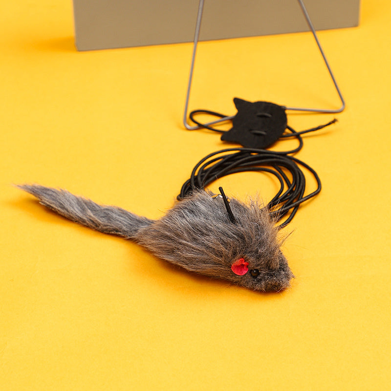 Aiitle Cute Indoor Hanging Cat Toys