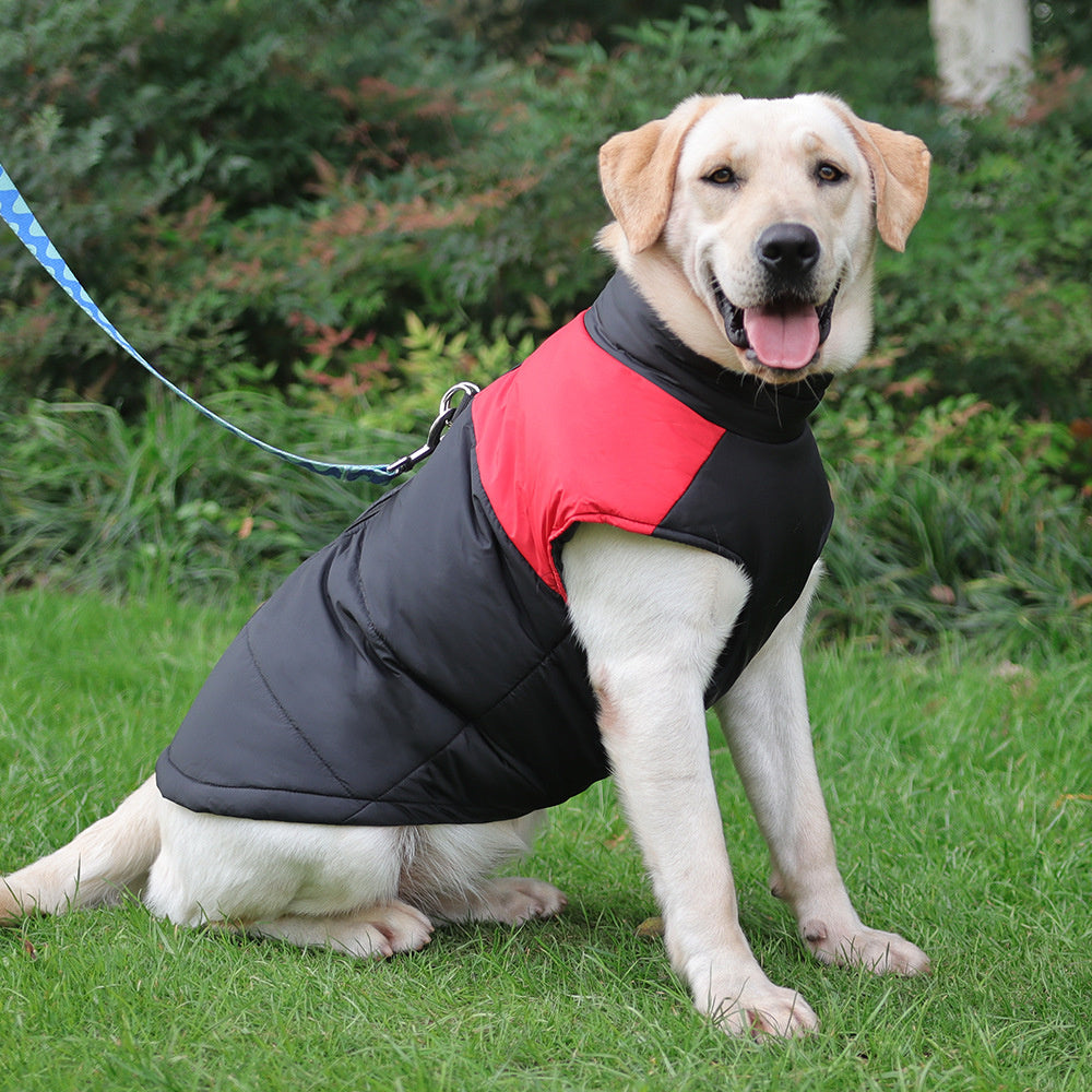 Winter coats store for labrador retrievers