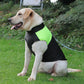 Aiitle Dog Waterproof Windproof Winter Jacket