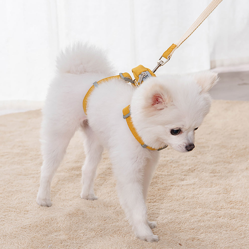 Aiitle Cute Adjustable Pet Harness Leash Set With Backpack