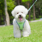 Aiitle Plaid Border Reflective Mesh Dog Harness Sage