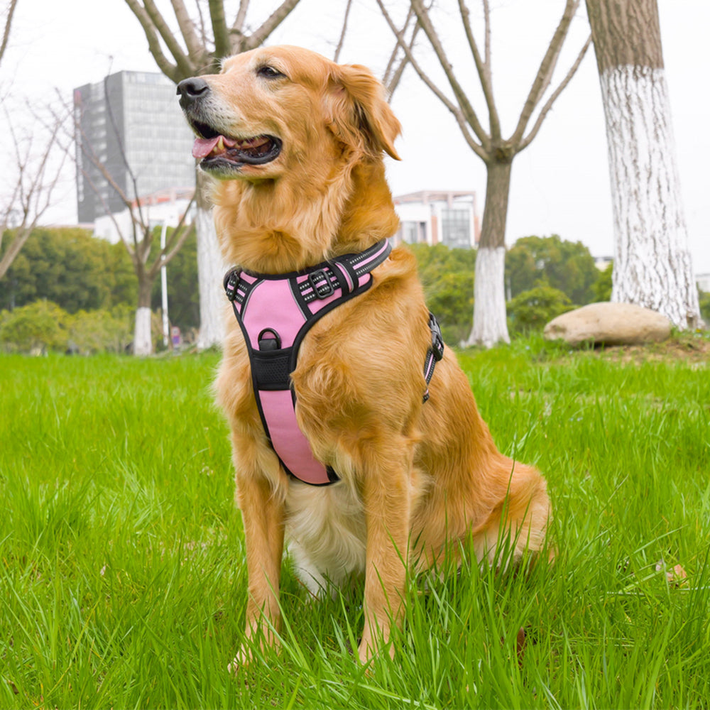 Aiitle Reflective No Pull Dog Harness Pink