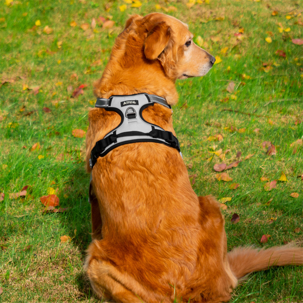 Aiitle Reflective No Pull Dog Harness Gray