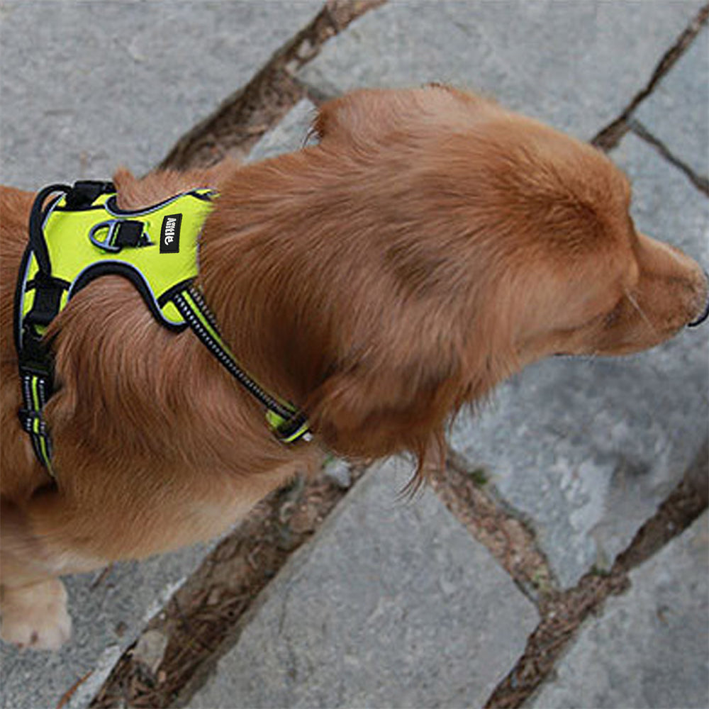 Aiitle Reflective No Pull Dog Harness Green