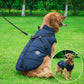 Aiitle Dog Waterproof Winter Harness