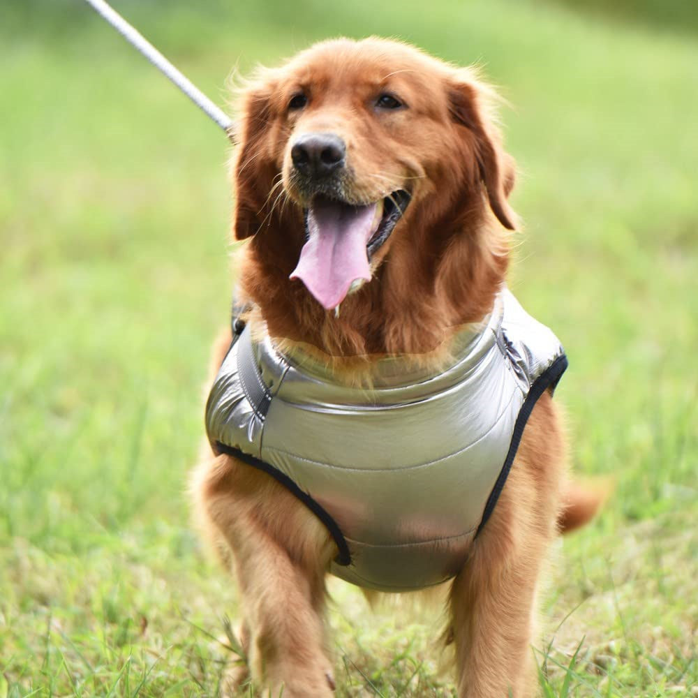 Dog hotsell harness waterproof