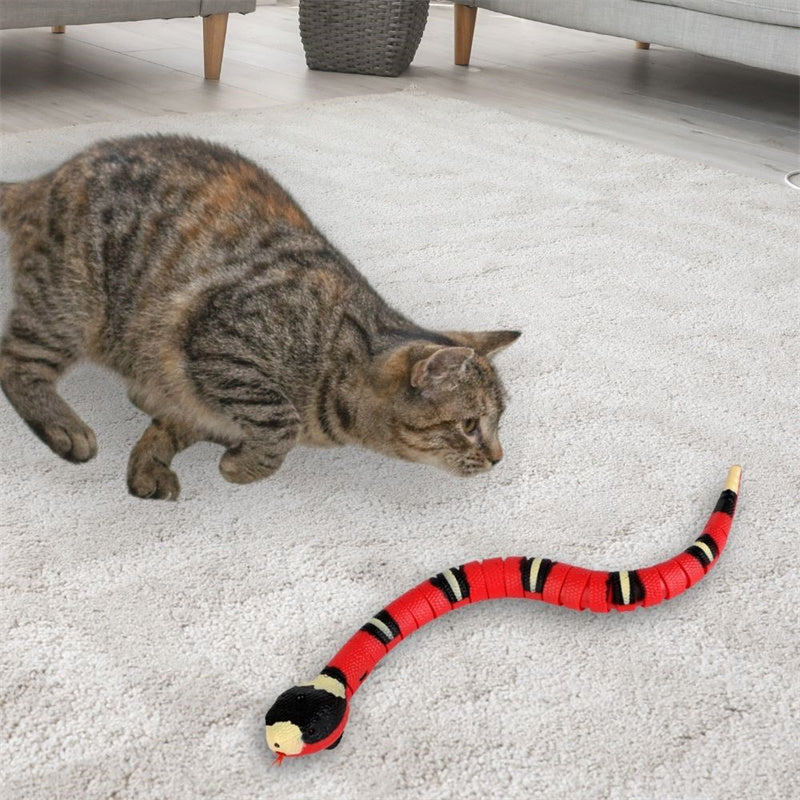 Aiitle Interactive Snake Cat Toy