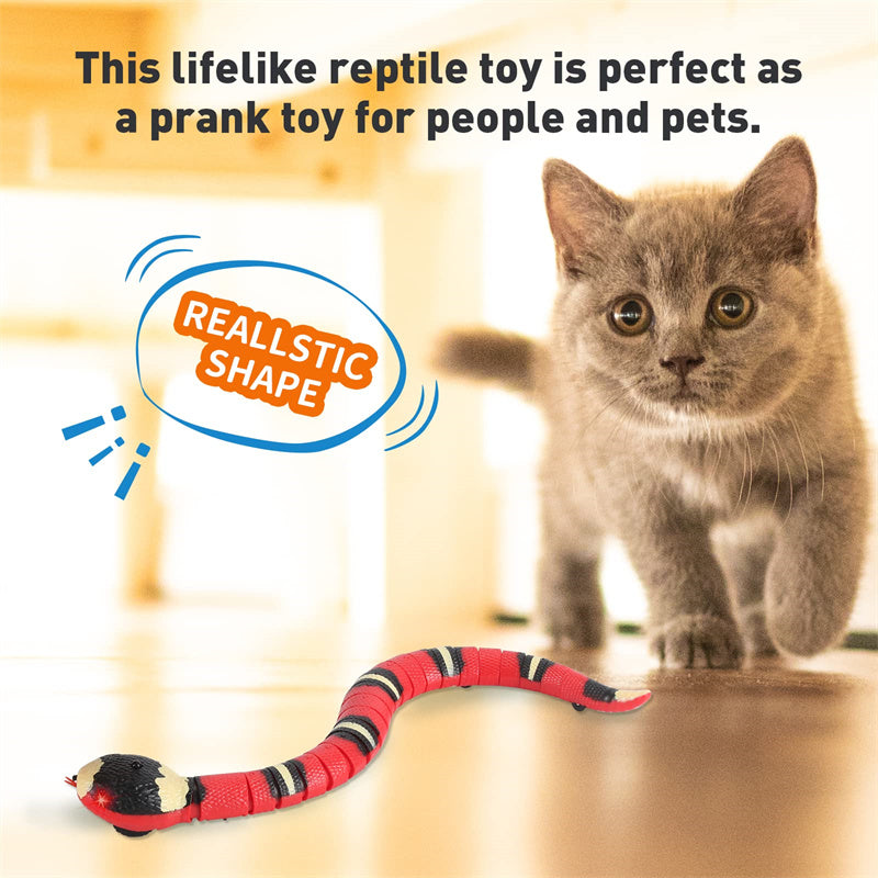 Aiitle Interactive Snake Cat Toy