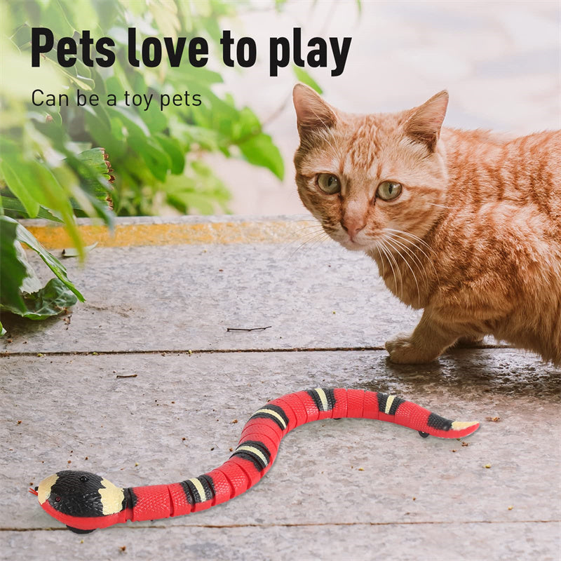 Aiitle Interactive Snake Cat Toy