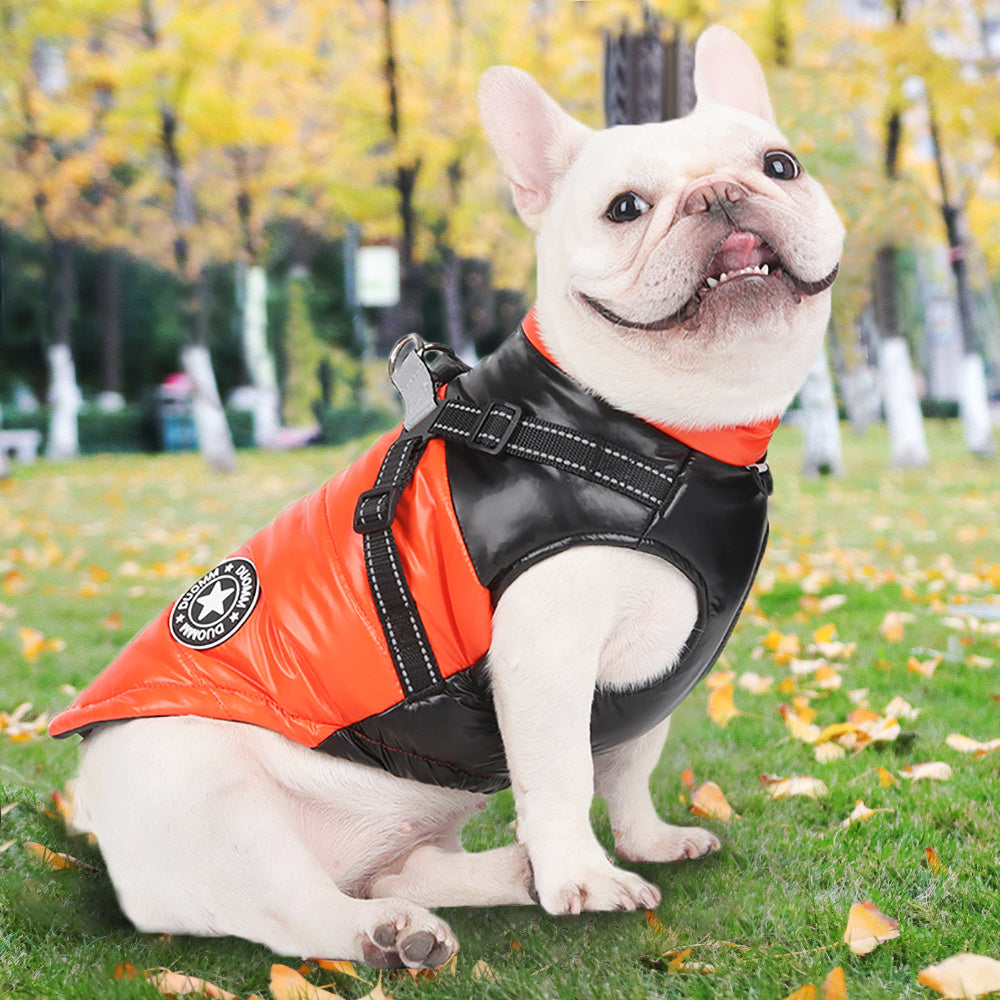 Aiitle Reflective Dog Harness Winter Jacket