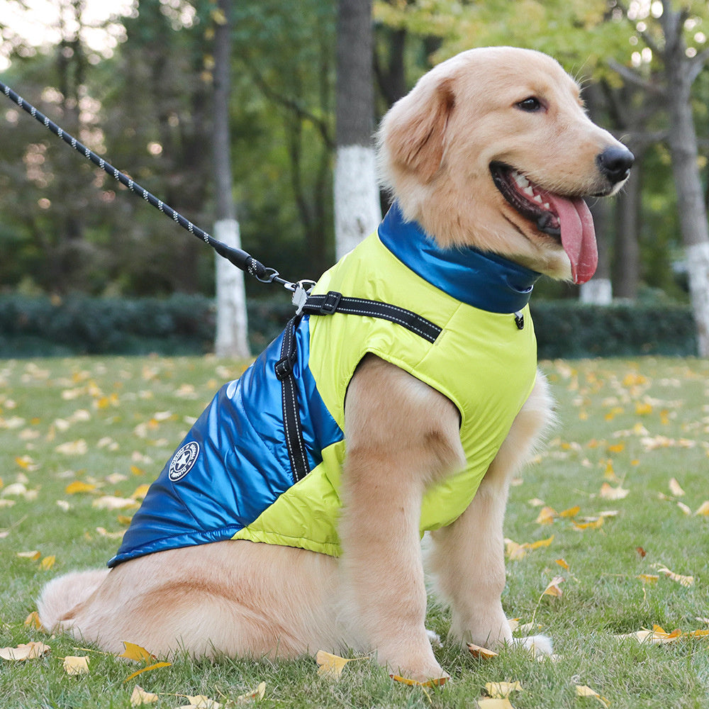 Golden retriever shop winter jacket