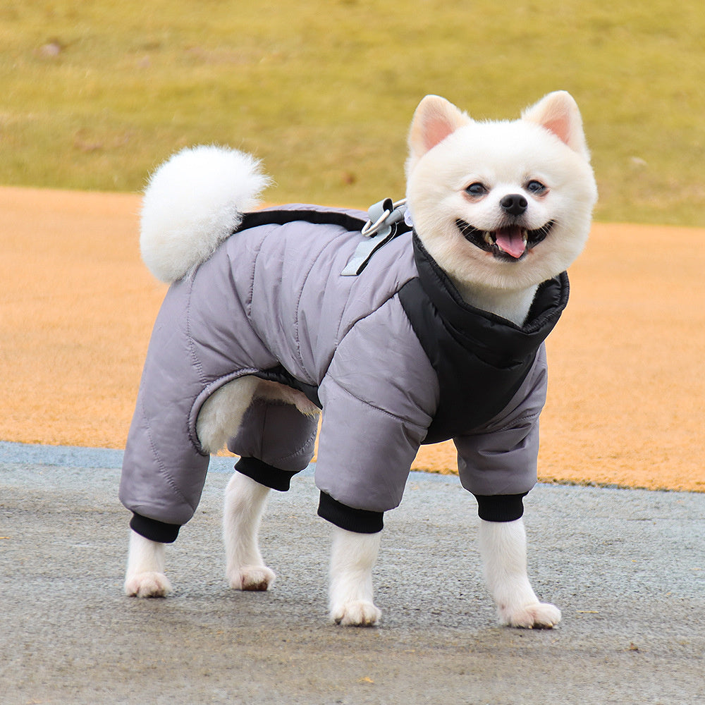 Dog winter jacket with on sale harness