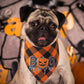 2 Pack Plaid Halloween Dog Bandanas, Washable Halloween Pumpkin Bat Printing | AIITLE